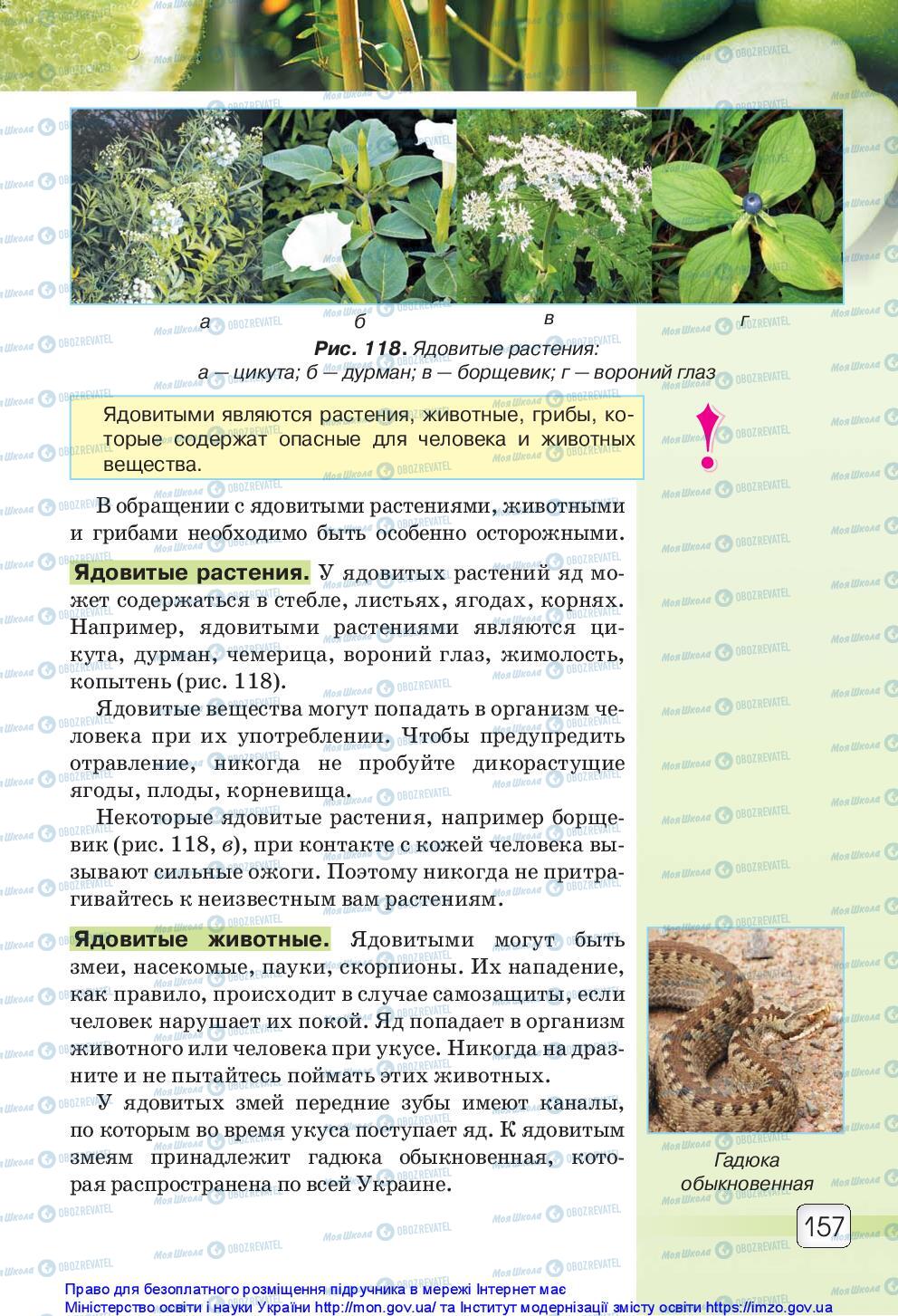 Підручники Природознавство 5 клас сторінка 157