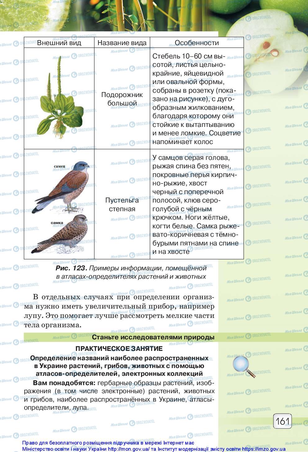 Підручники Природознавство 5 клас сторінка 161