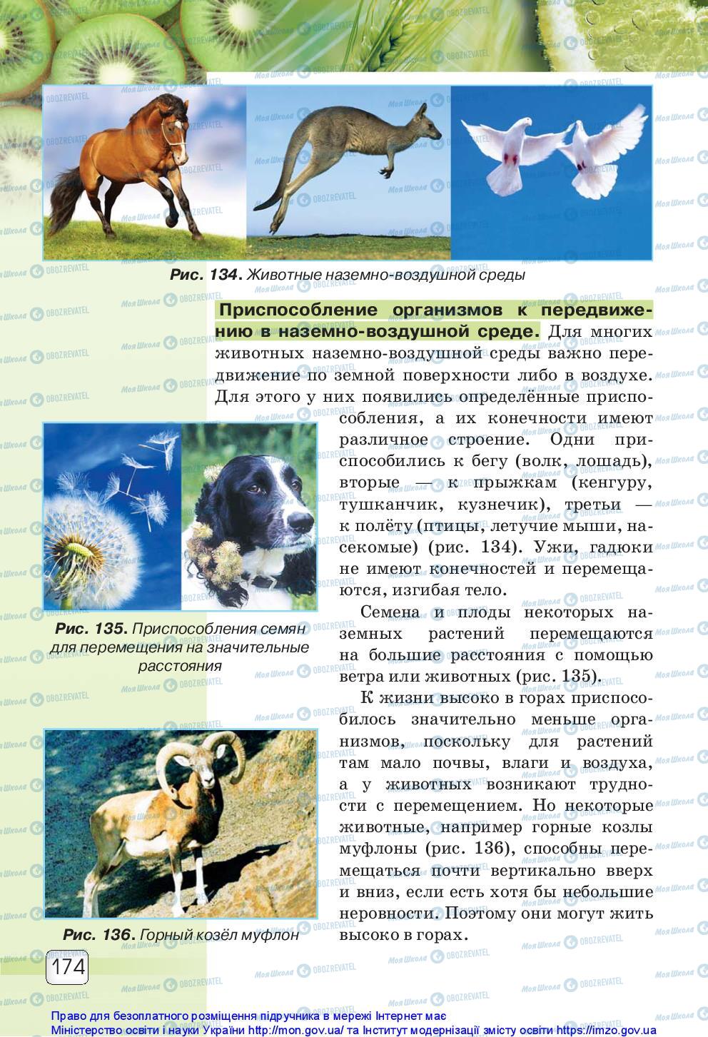 Підручники Природознавство 5 клас сторінка 174