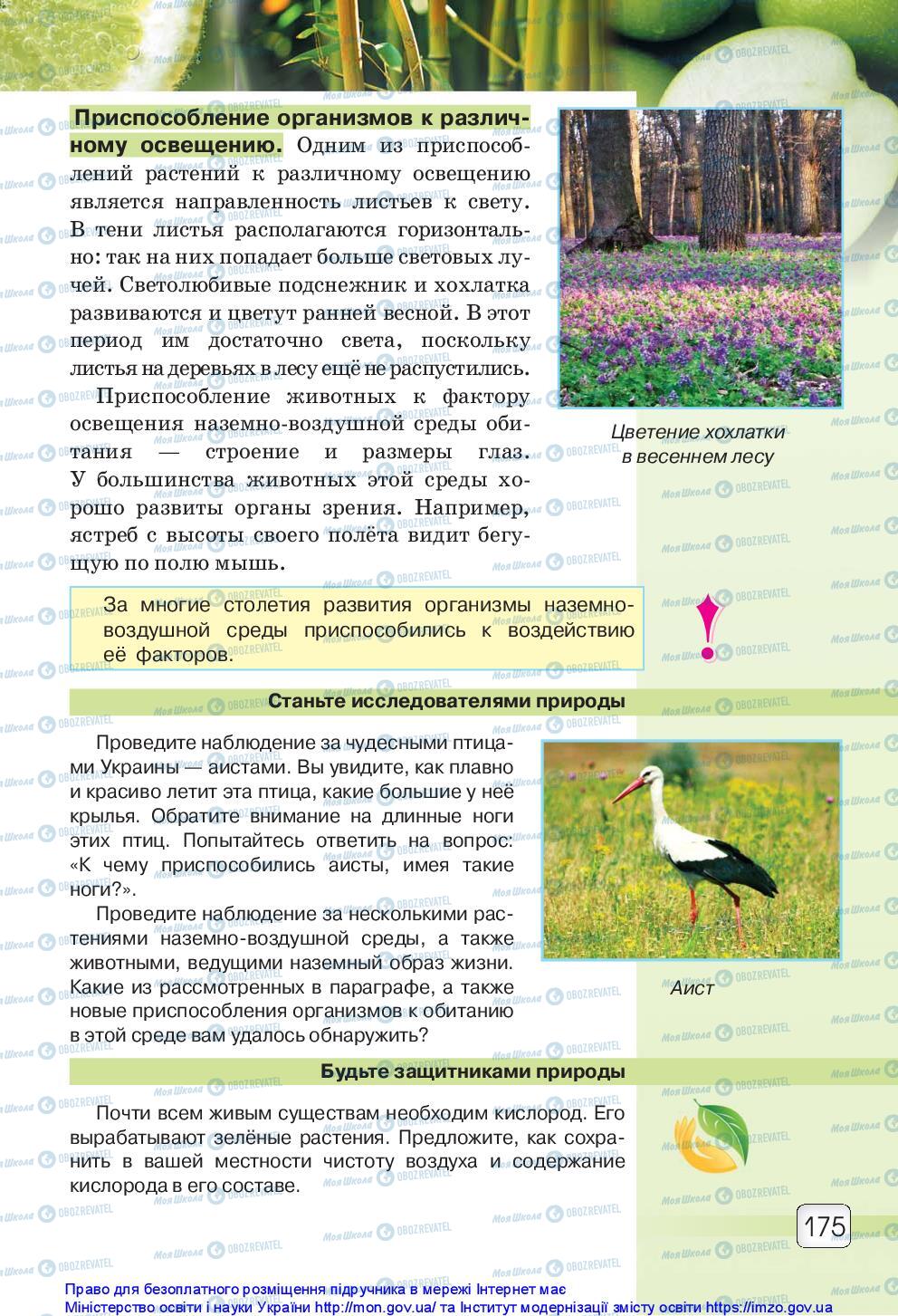 Підручники Природознавство 5 клас сторінка 175