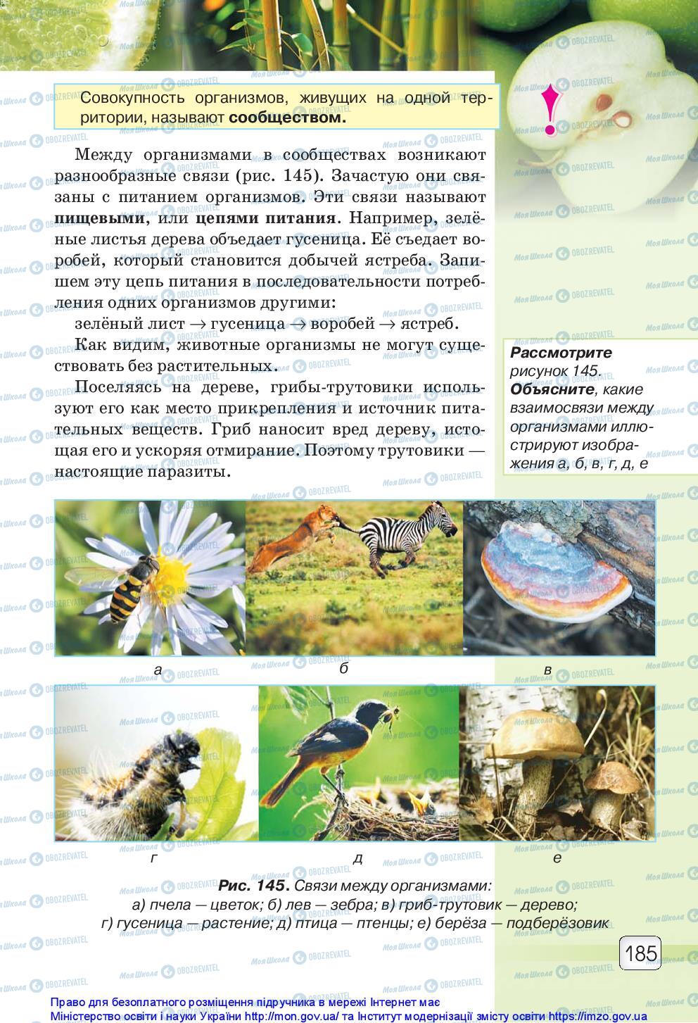 Підручники Природознавство 5 клас сторінка 185