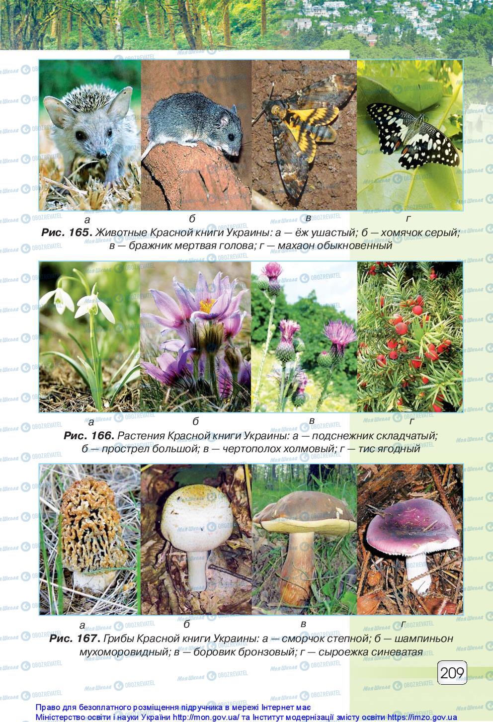 Підручники Природознавство 5 клас сторінка 209