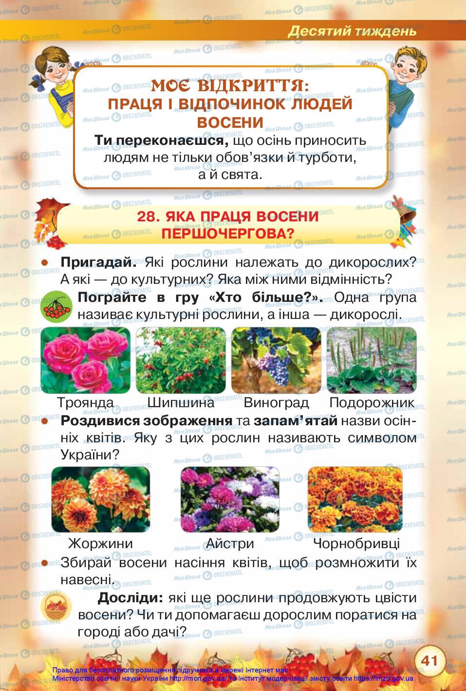 Підручники Я досліджую світ 2 клас сторінка 41