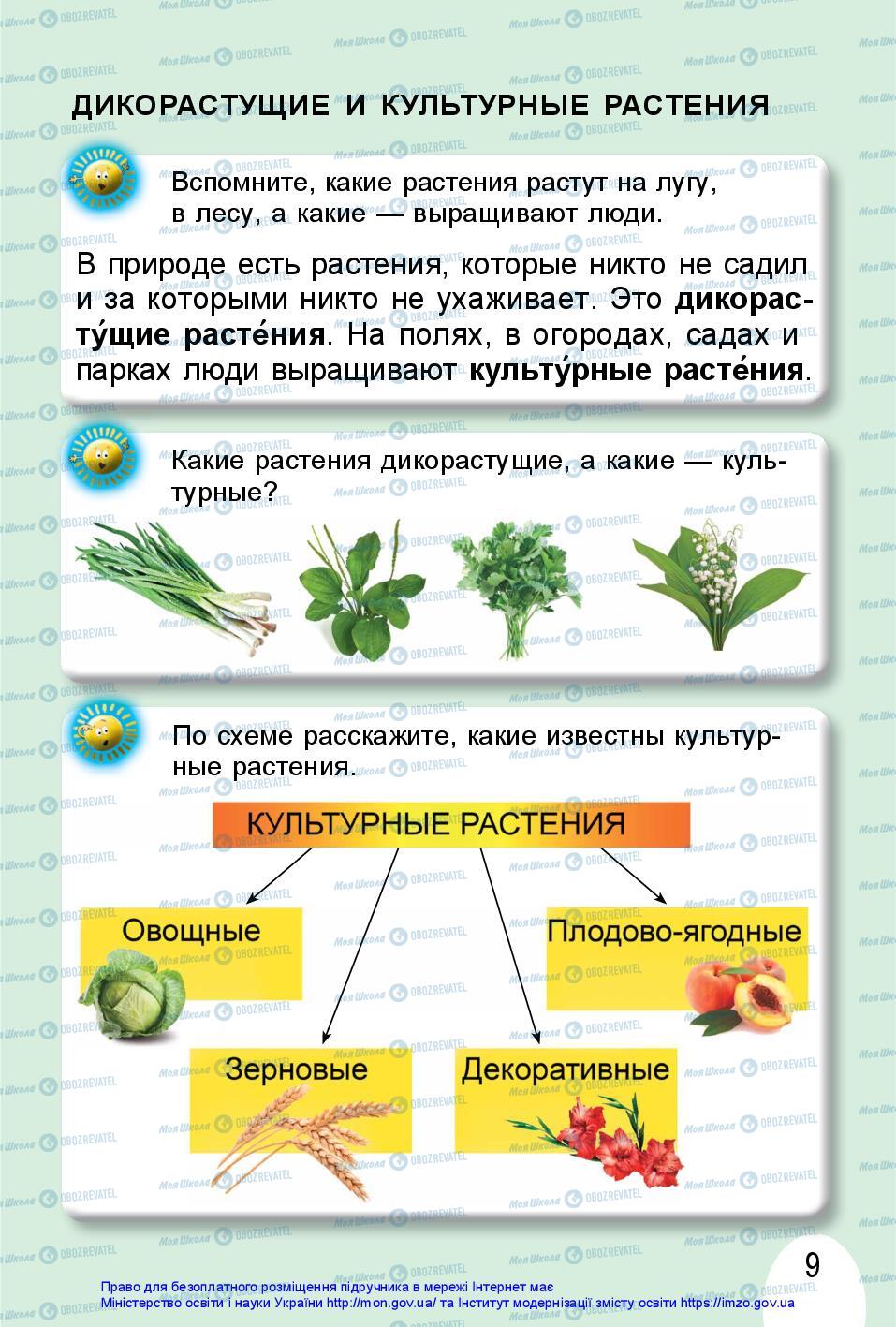 Учебники ЯДС (исследую мир) 1 класс страница 9