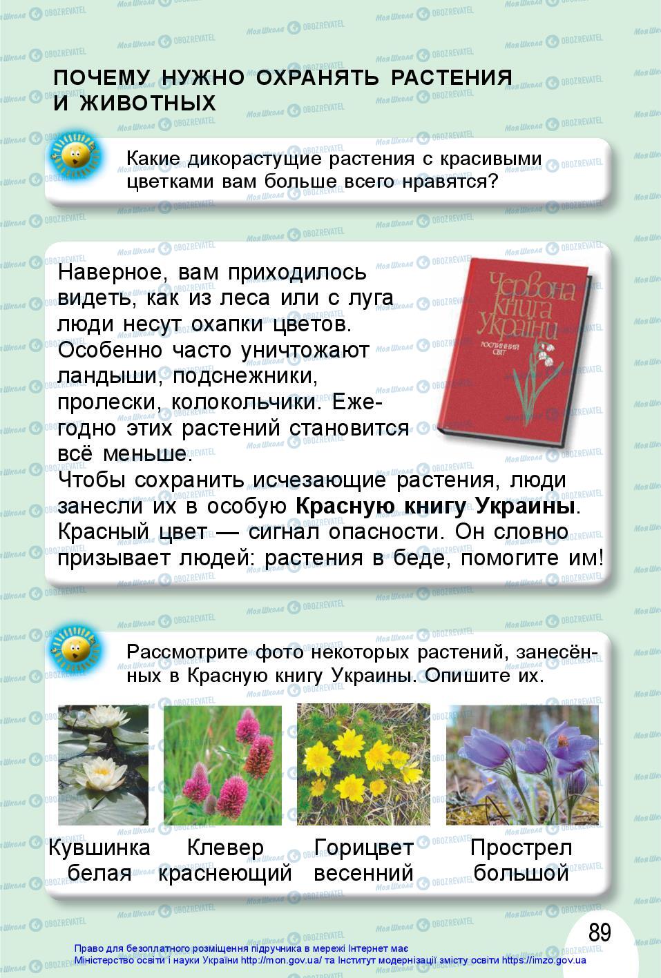 Підручники Я досліджую світ 1 клас сторінка 89