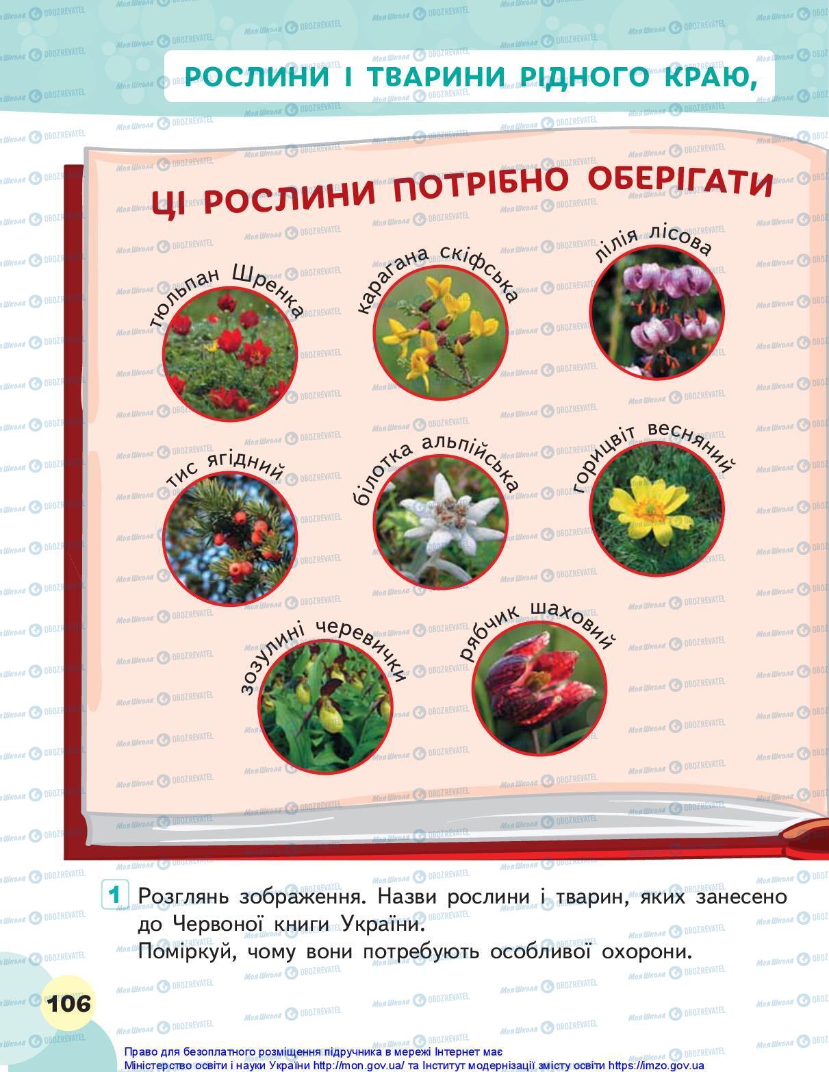 Підручники Я досліджую світ 1 клас сторінка 106