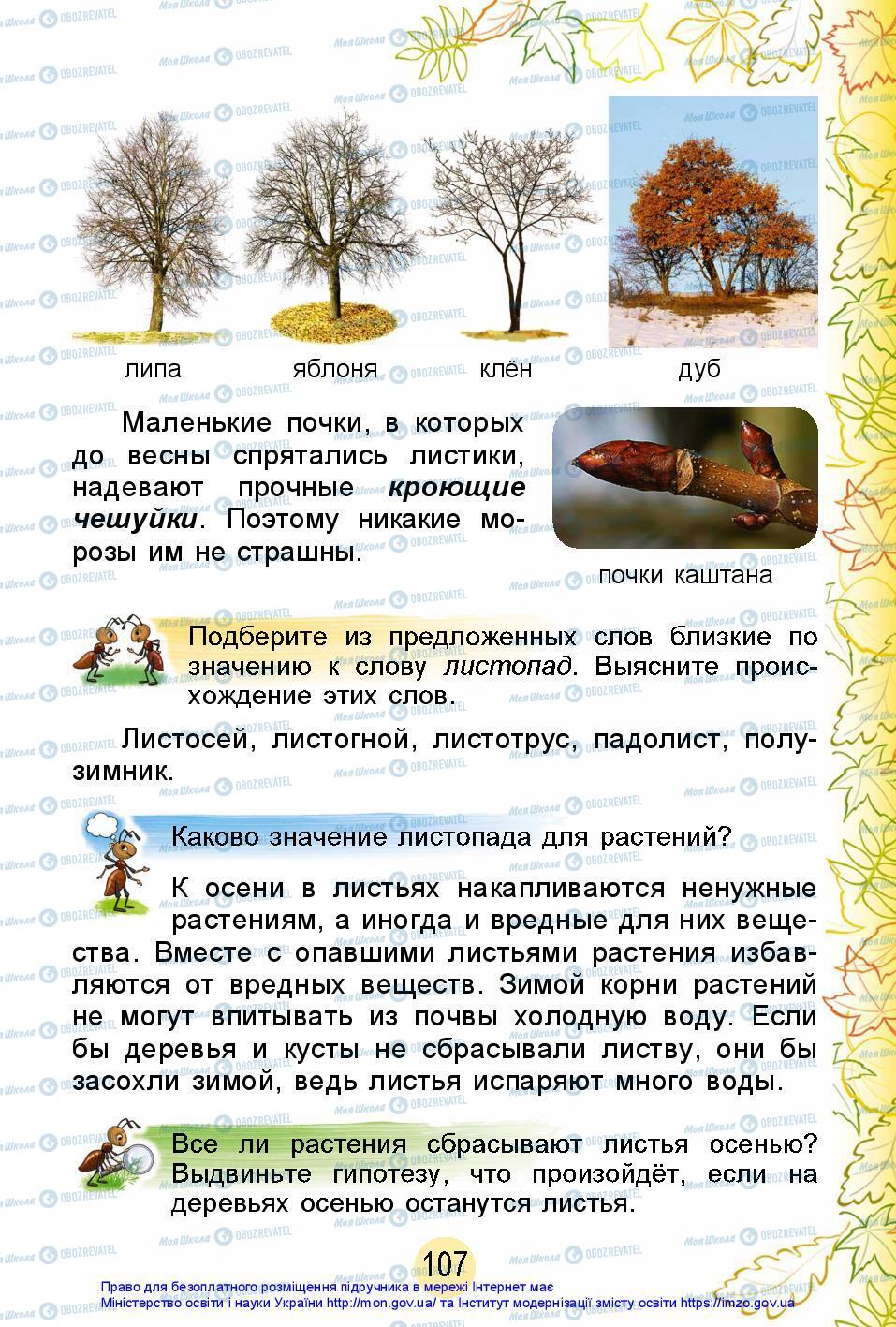 Підручники Я досліджую світ 2 клас сторінка 107