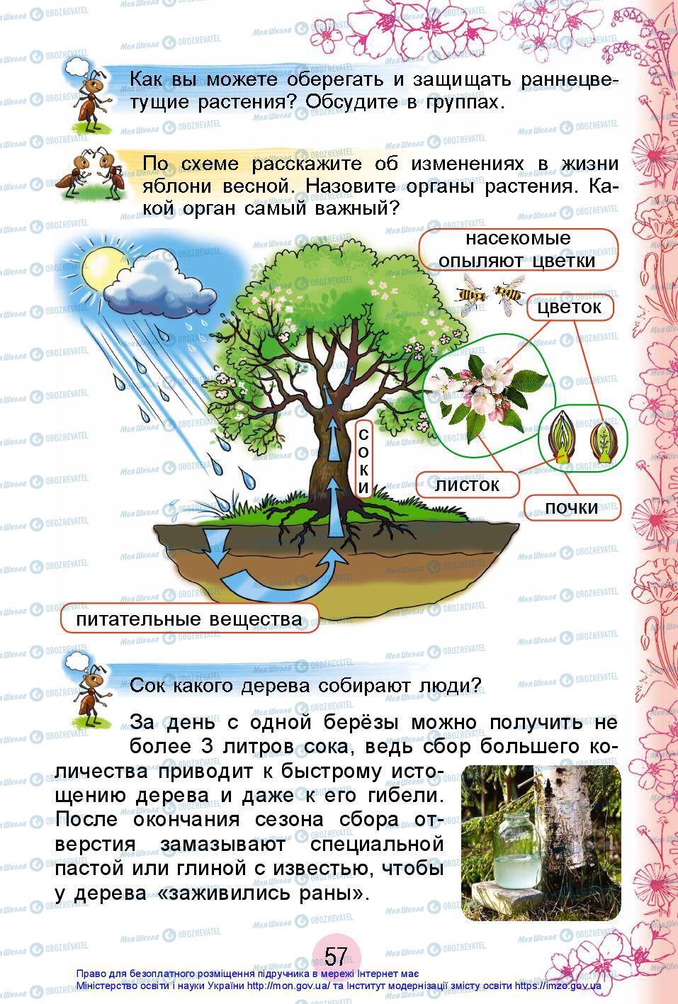 Підручники Я досліджую світ 2 клас сторінка 57