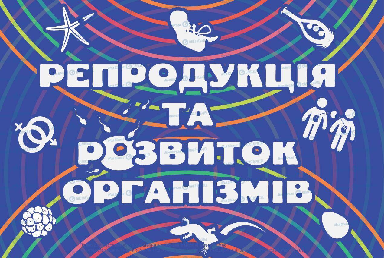 Підручники Біологія 10 клас сторінка 260