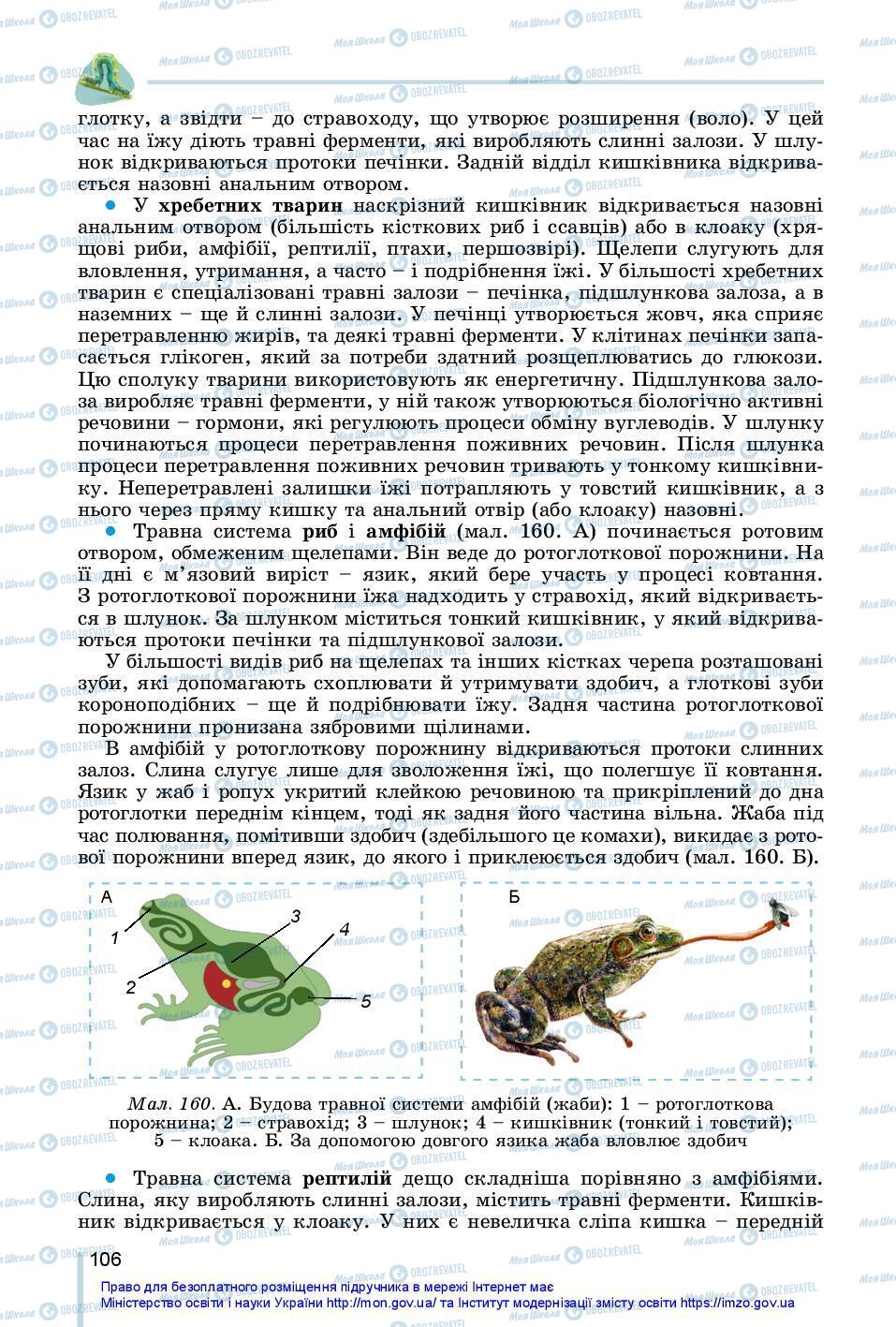 Підручники Біологія 7 клас сторінка 106