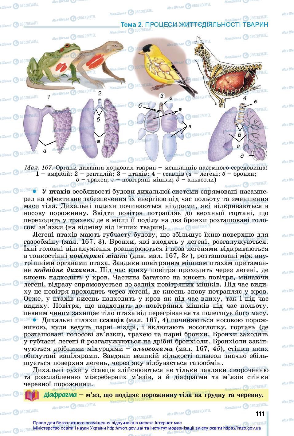 Учебники Биология 7 класс страница 111