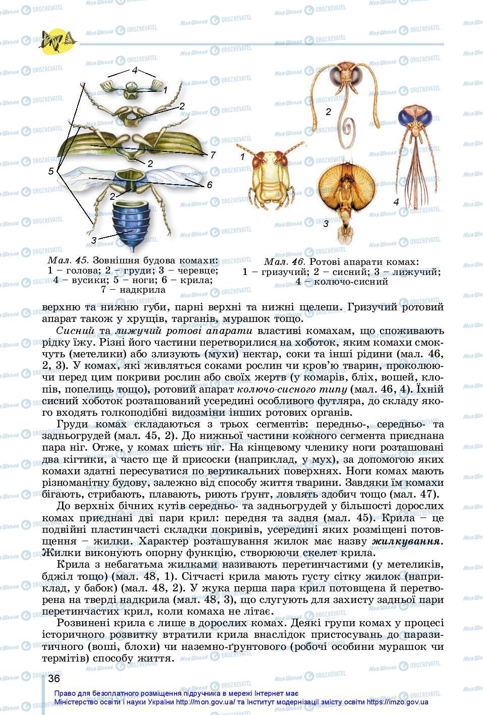 Підручники Біологія 7 клас сторінка 36