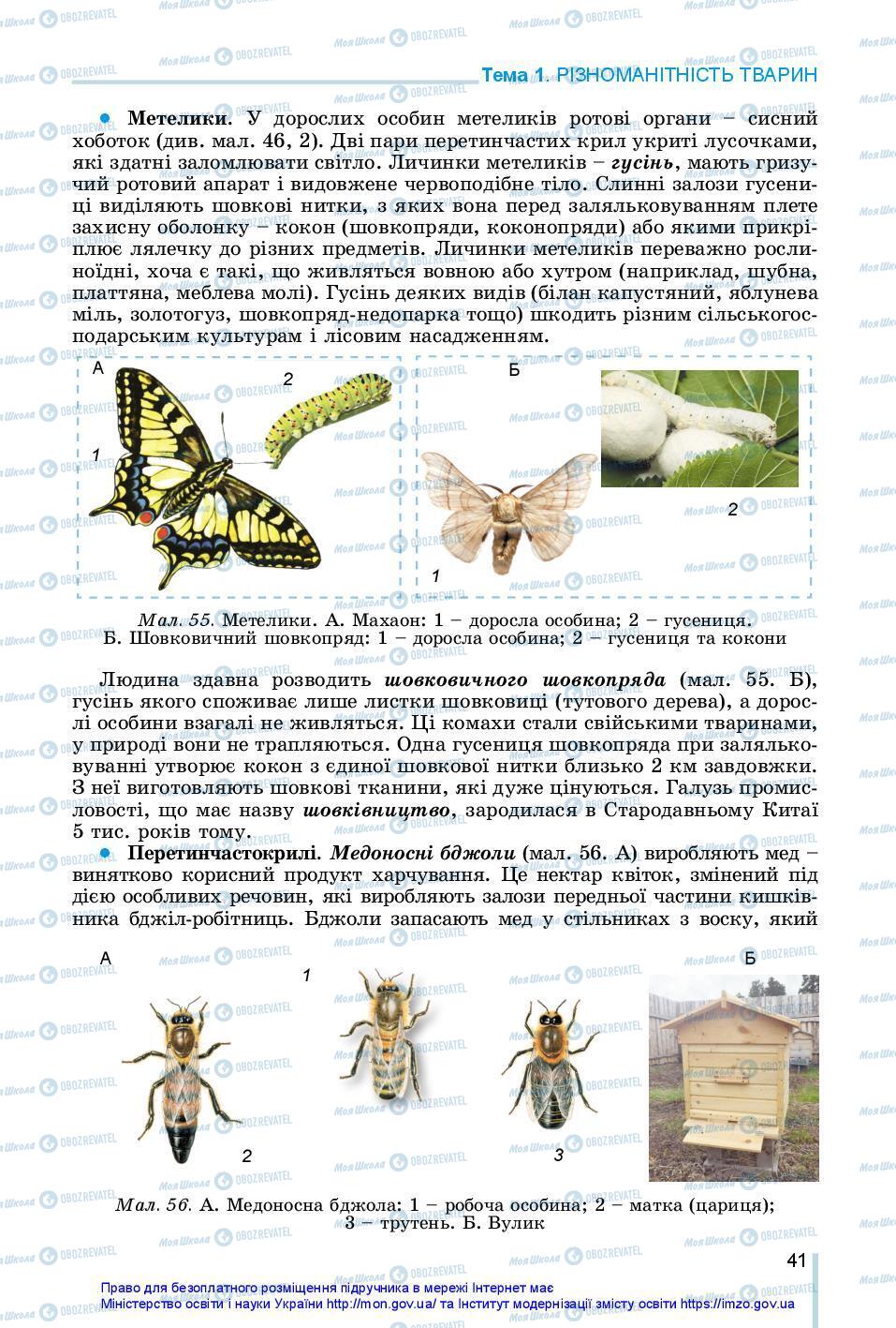 Учебники Биология 7 класс страница 41