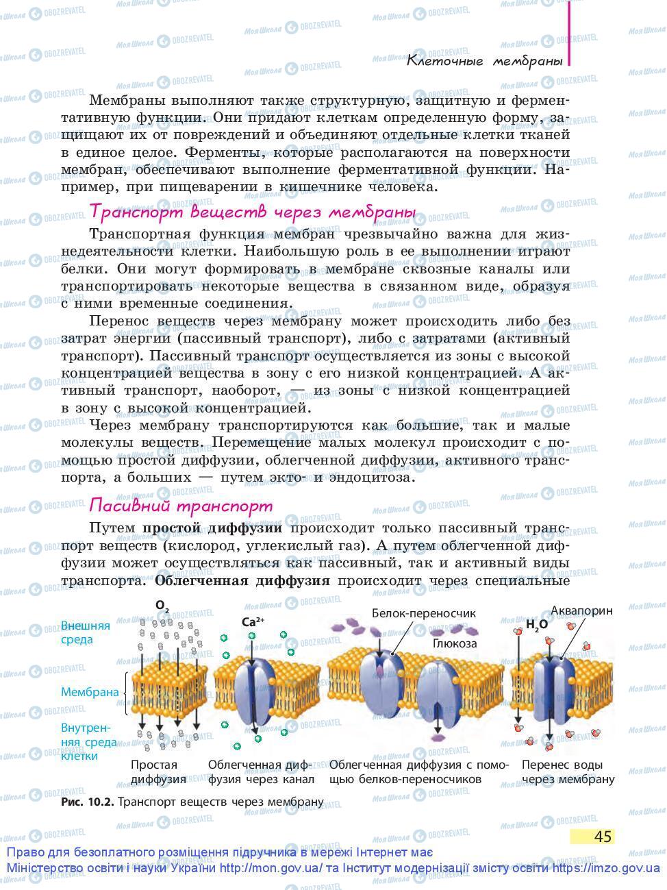 Підручники Біологія 9 клас сторінка 45