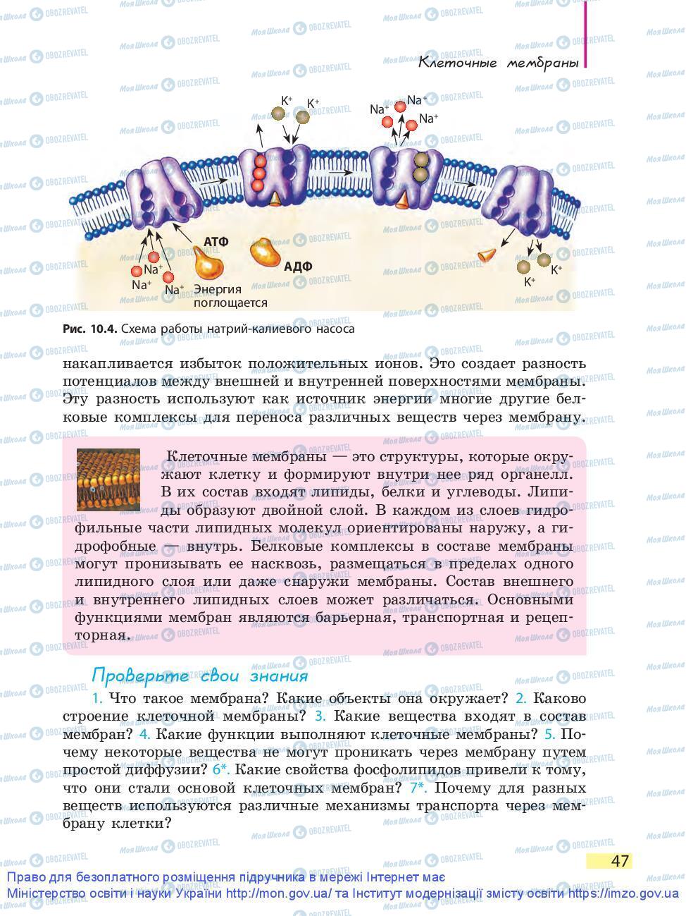 Учебники Биология 9 класс страница 47