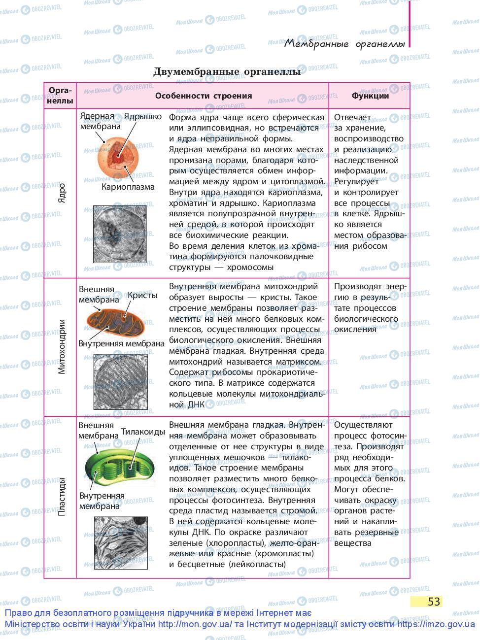Підручники Біологія 9 клас сторінка 53
