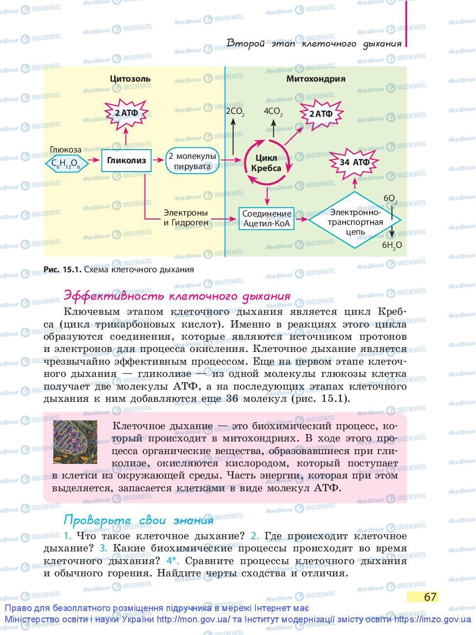 Підручники Біологія 9 клас сторінка 67