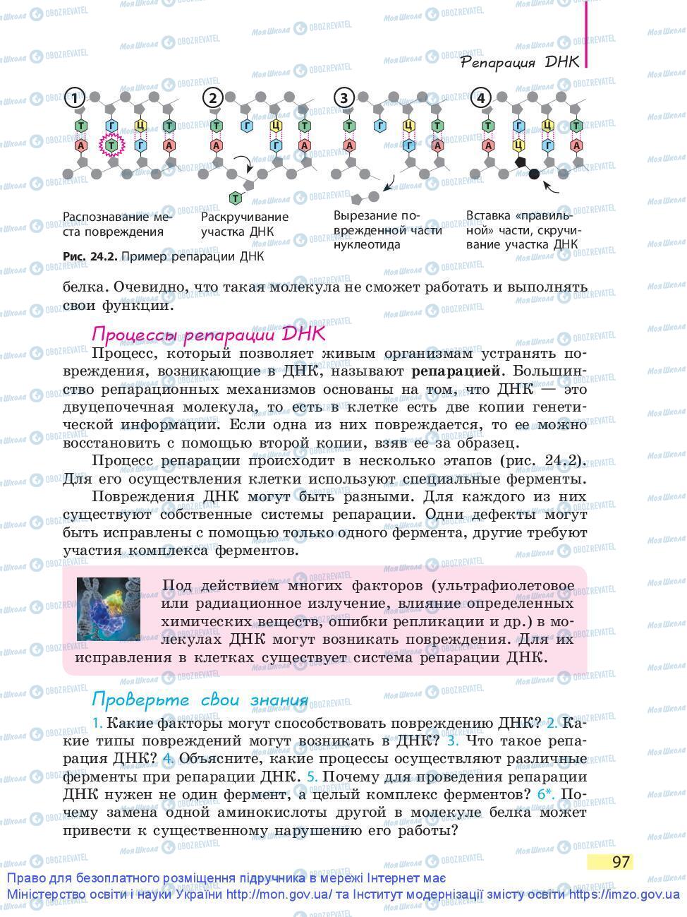 Підручники Біологія 9 клас сторінка 97