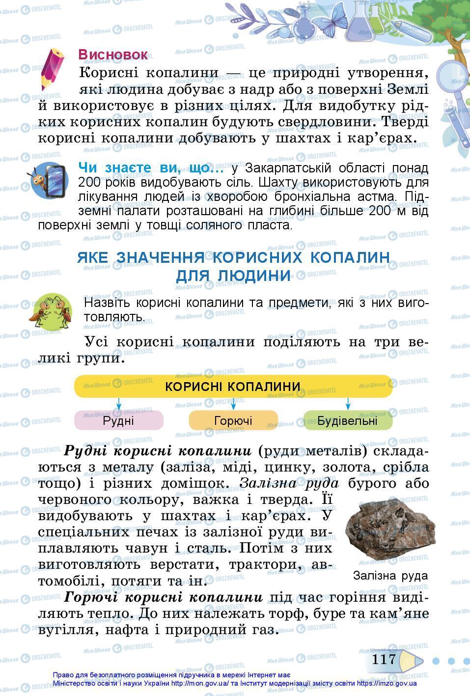 Підручники Я досліджую світ 3 клас сторінка 117