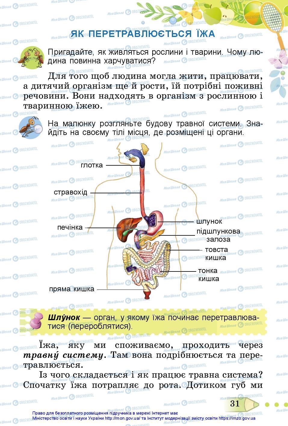 Учебники ЯДС (исследую мир) 3 класс страница 31