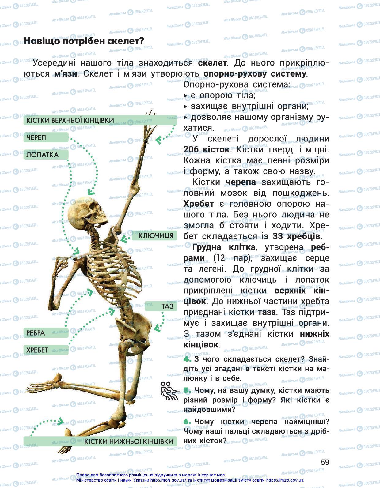 Підручники Я досліджую світ 3 клас сторінка 59