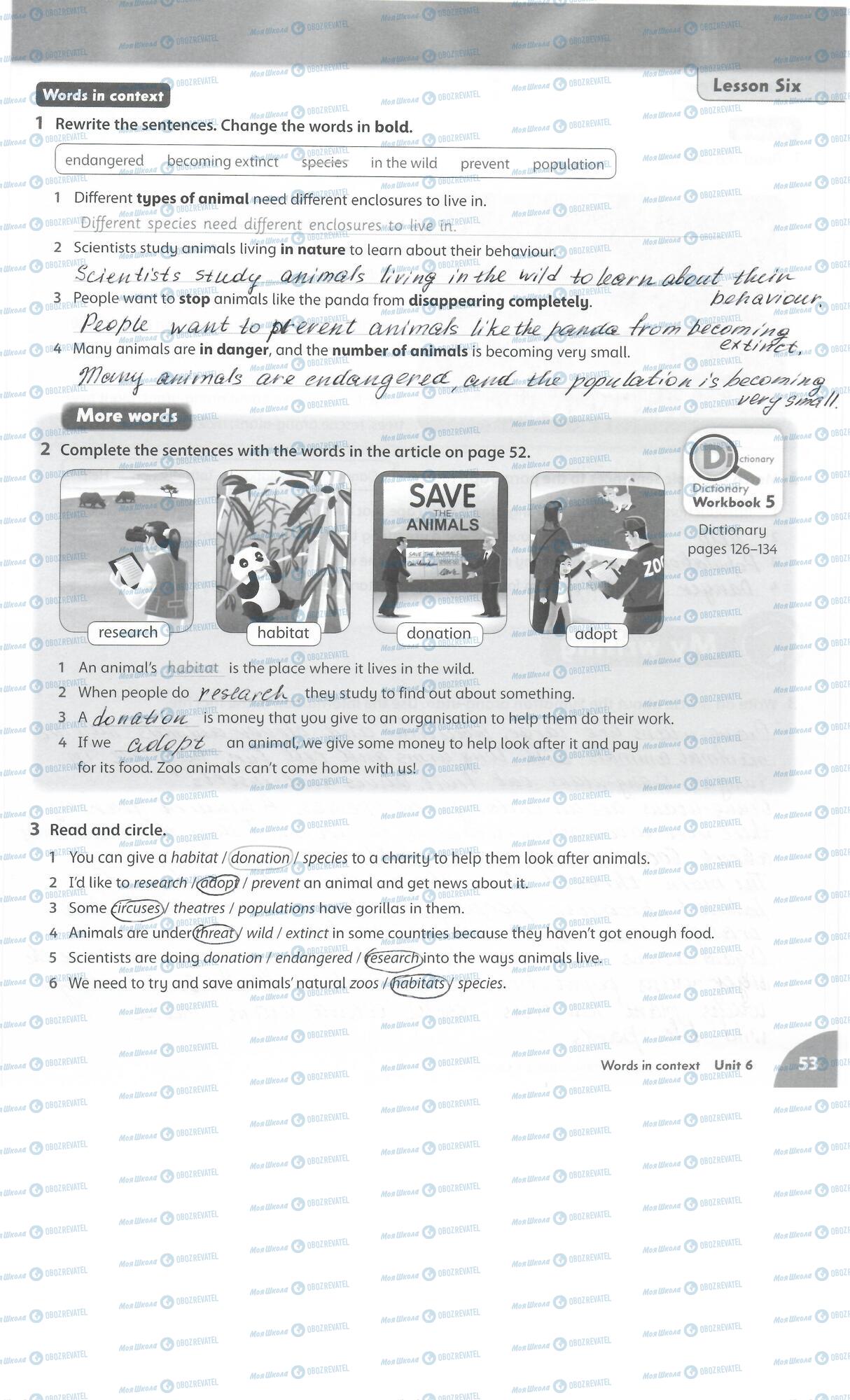 ГДЗ Английский язык 5 класс страница 53