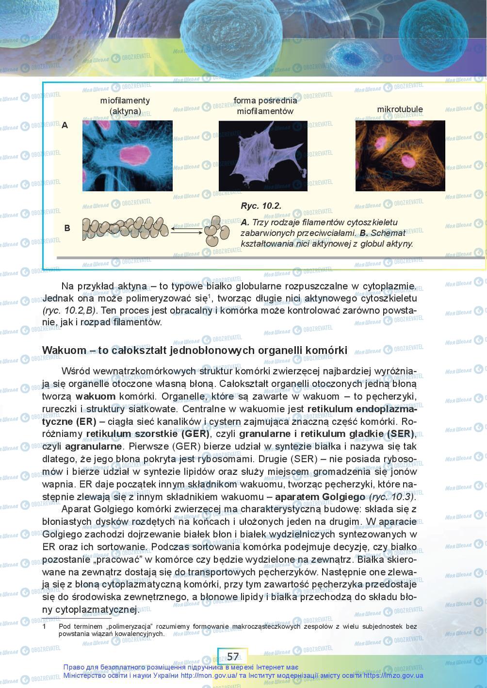Підручники Біологія 9 клас сторінка 57