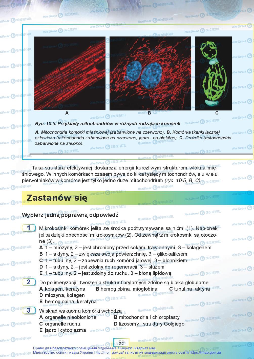 Підручники Біологія 9 клас сторінка 59
