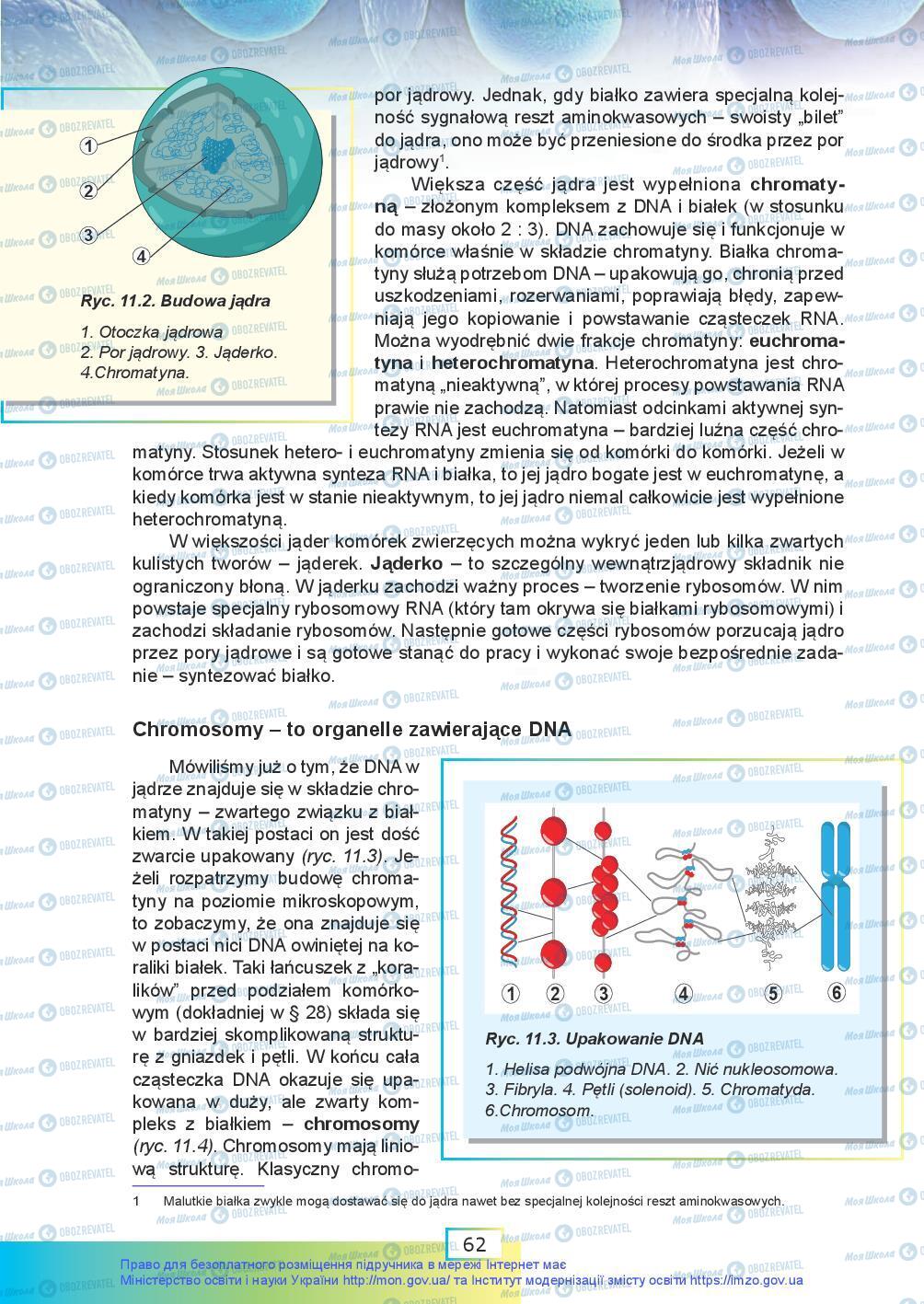 Підручники Біологія 9 клас сторінка 62