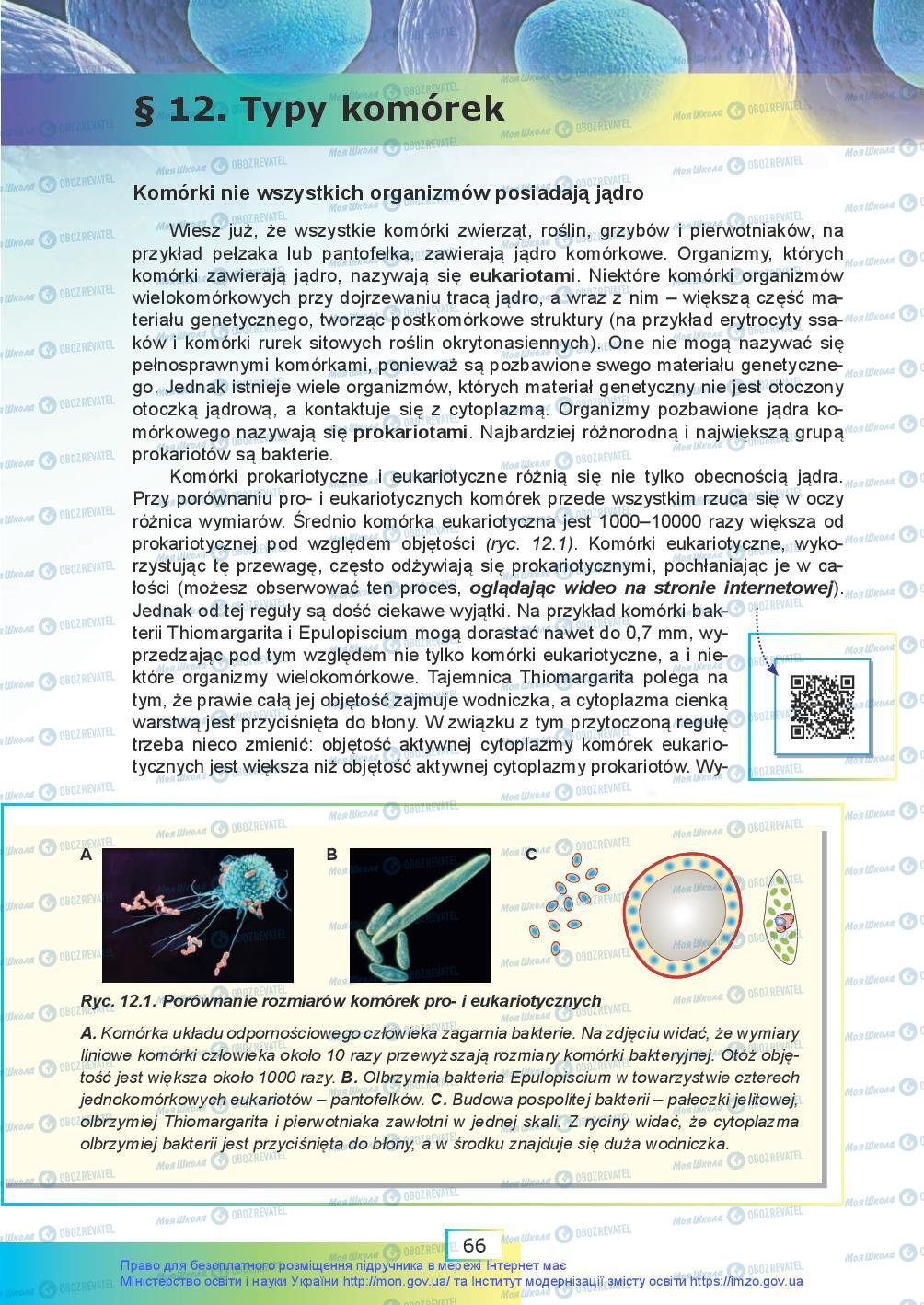 Підручники Біологія 9 клас сторінка 66
