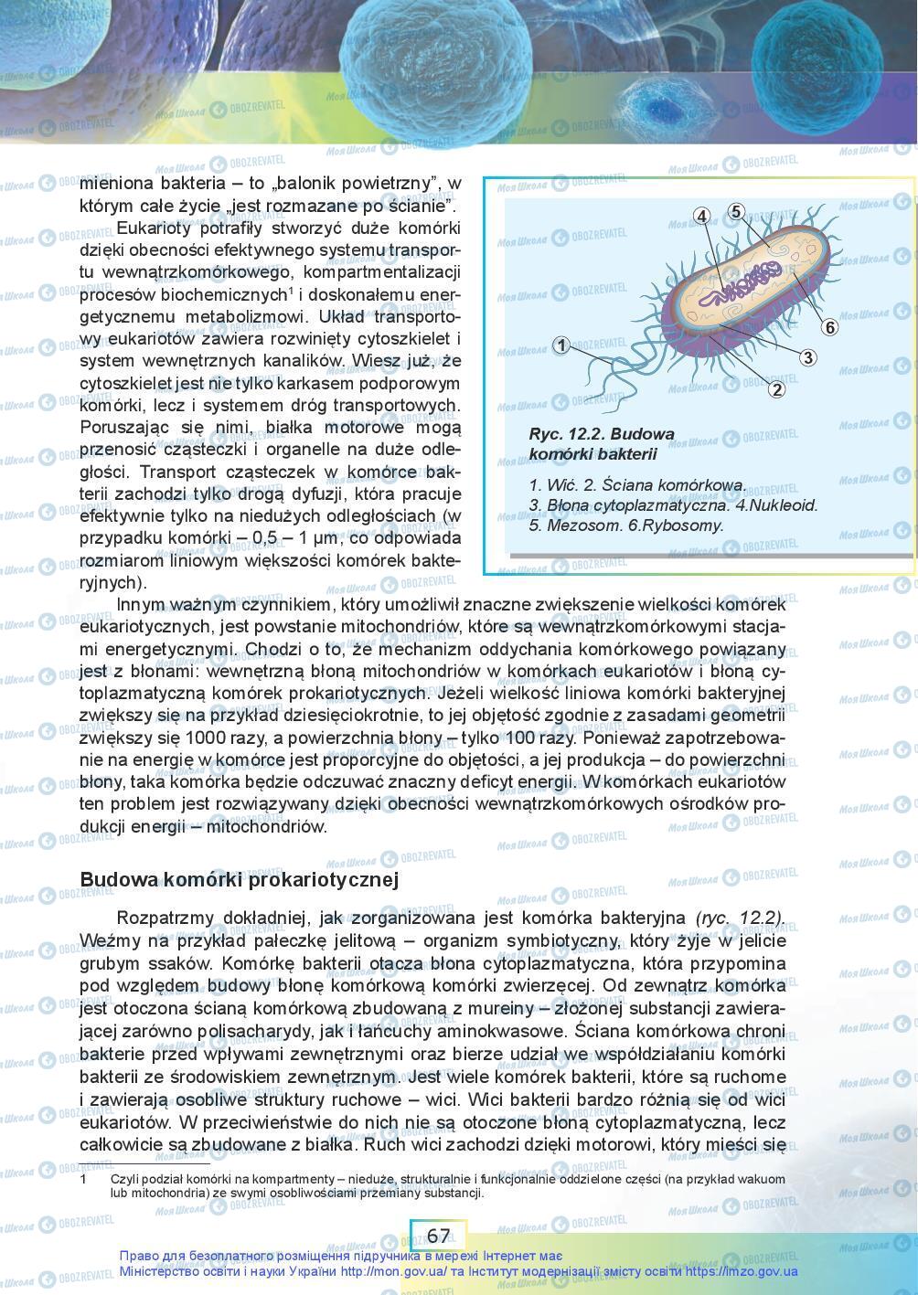 Підручники Біологія 9 клас сторінка 67