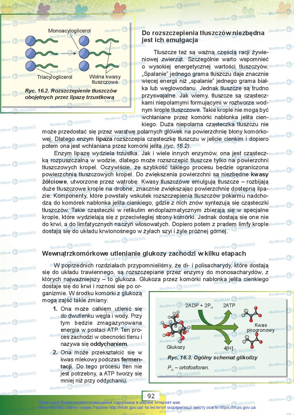 Підручники Біологія 9 клас сторінка 92