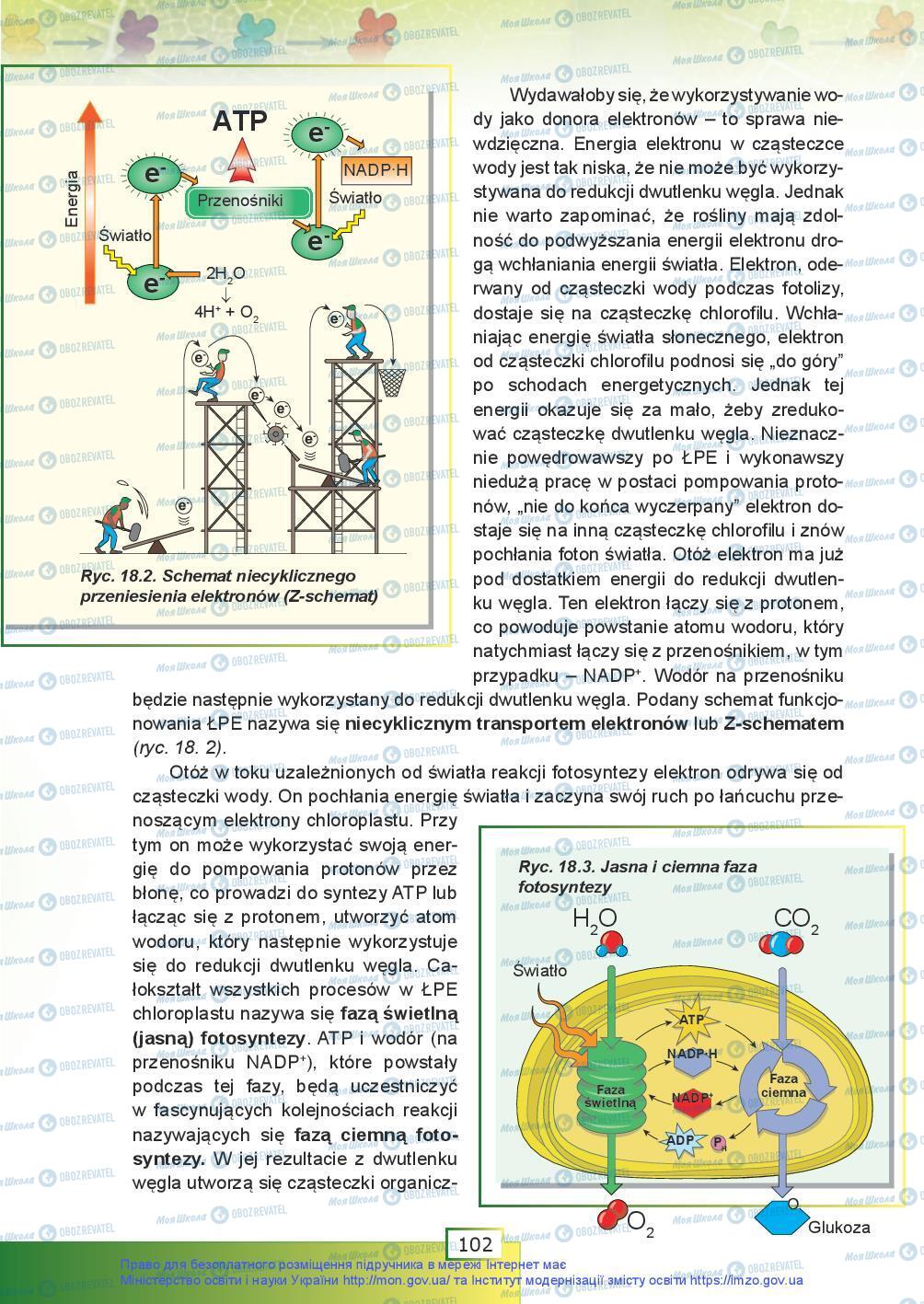 Підручники Біологія 9 клас сторінка 102