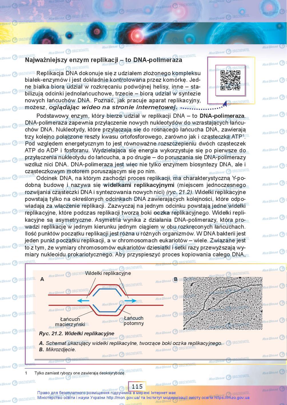 Підручники Біологія 9 клас сторінка 115