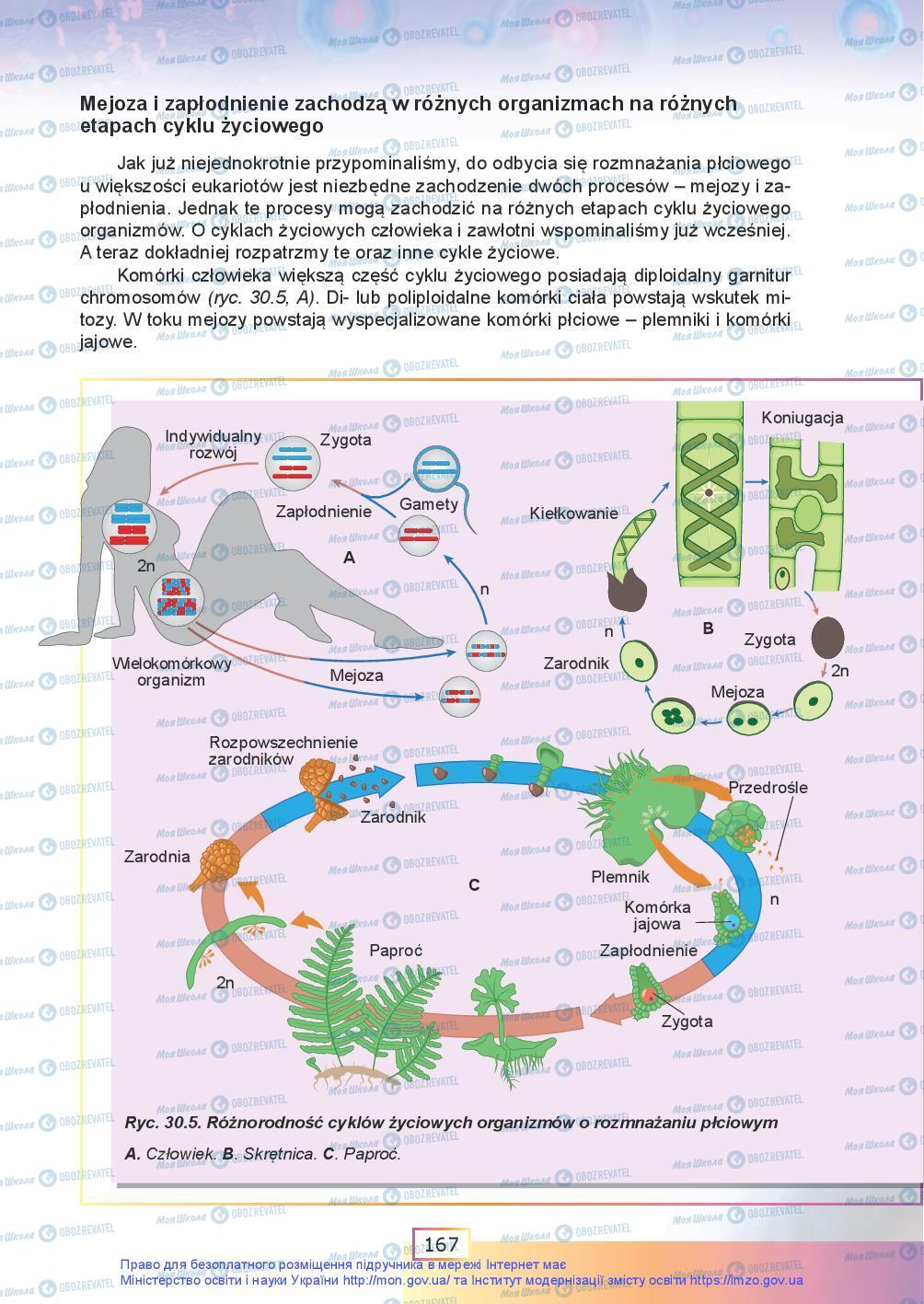 Підручники Біологія 9 клас сторінка 167