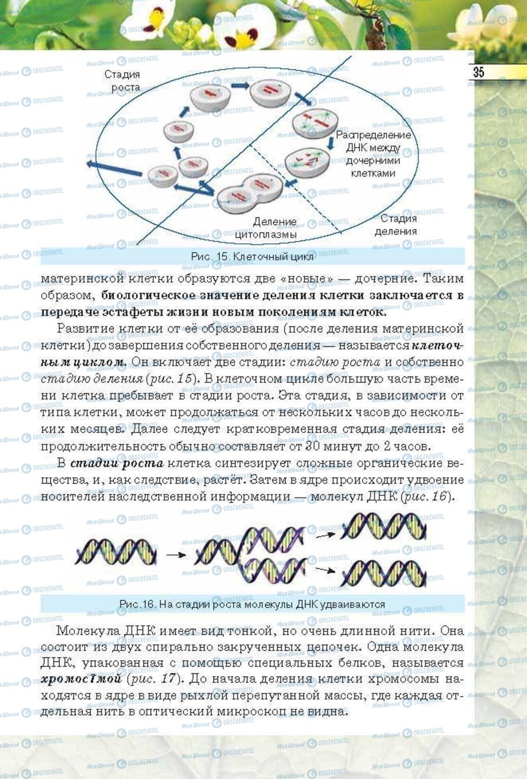 Учебники Биология 6 класс страница 35