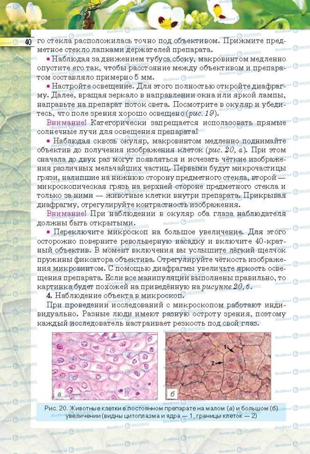 Підручники Біологія 6 клас сторінка 40