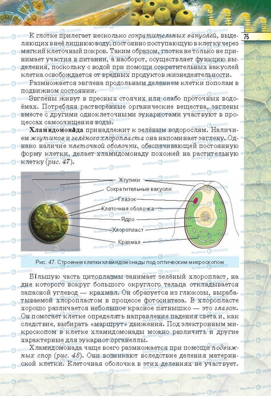 Підручники Біологія 6 клас сторінка 75