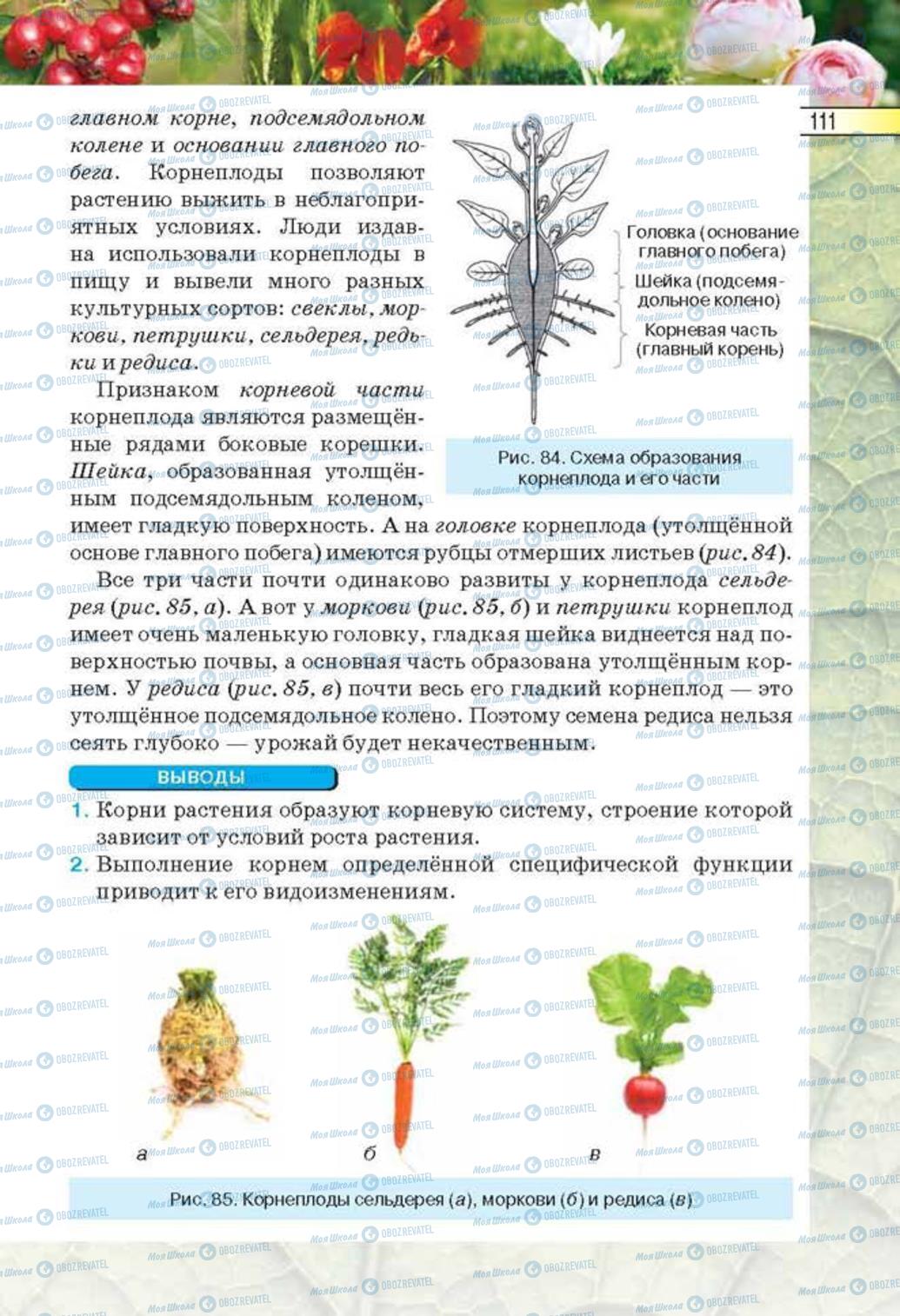 Учебники Биология 6 класс страница 111