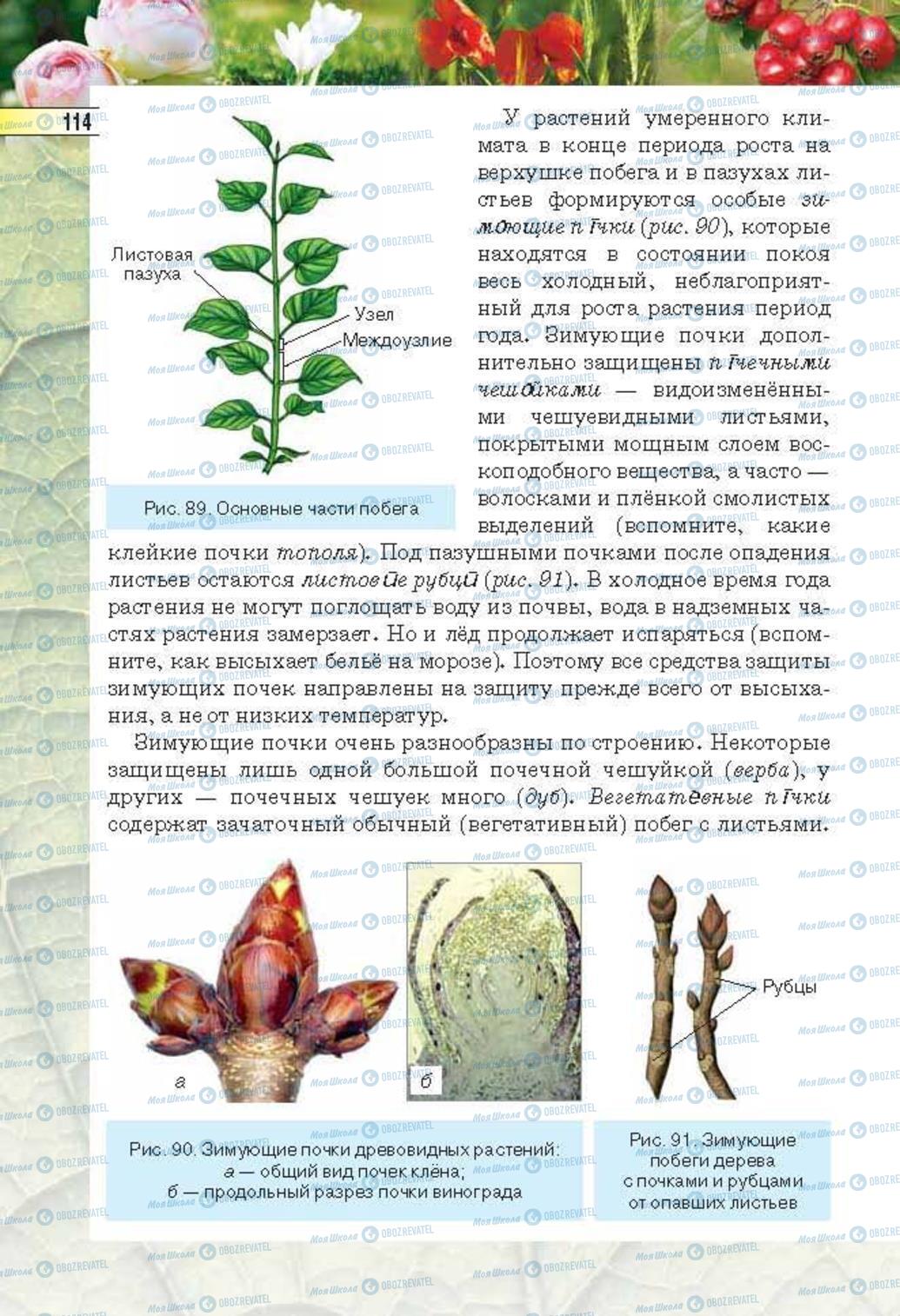 Учебники Биология 6 класс страница 114