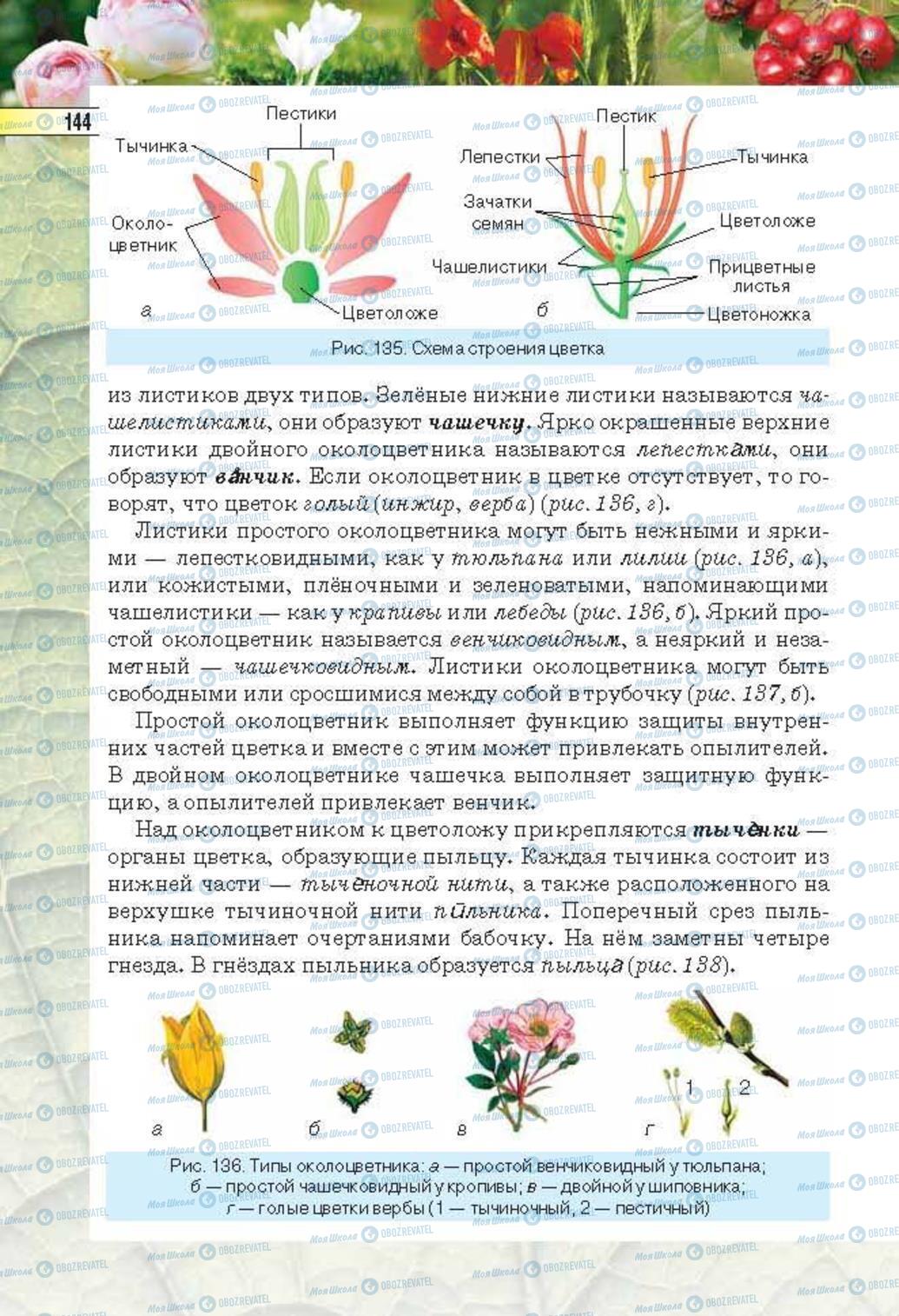Підручники Біологія 6 клас сторінка 144