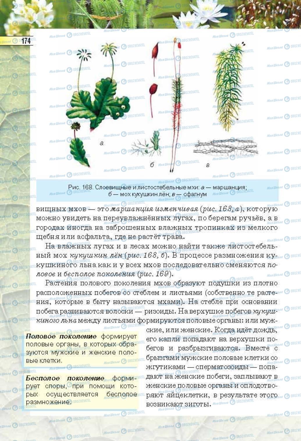 Підручники Біологія 6 клас сторінка 174