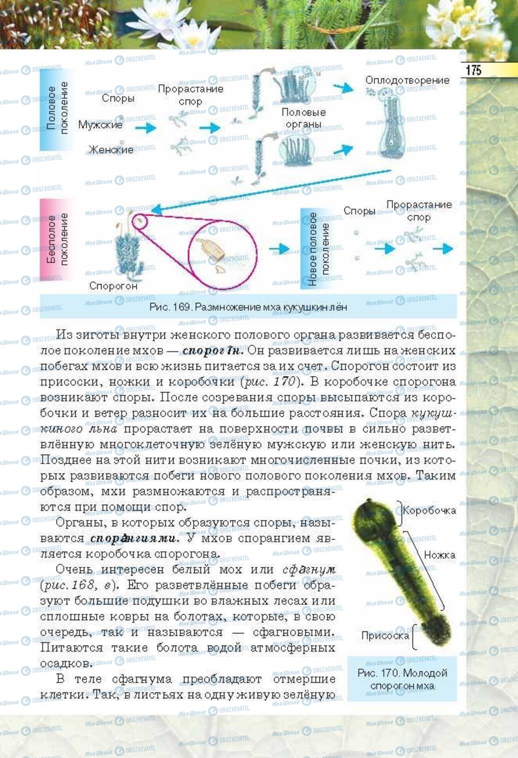 Підручники Біологія 6 клас сторінка 175