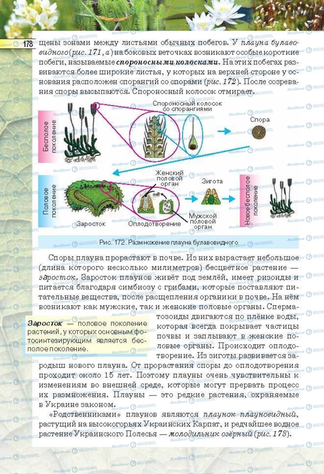 Учебники Биология 6 класс страница 178