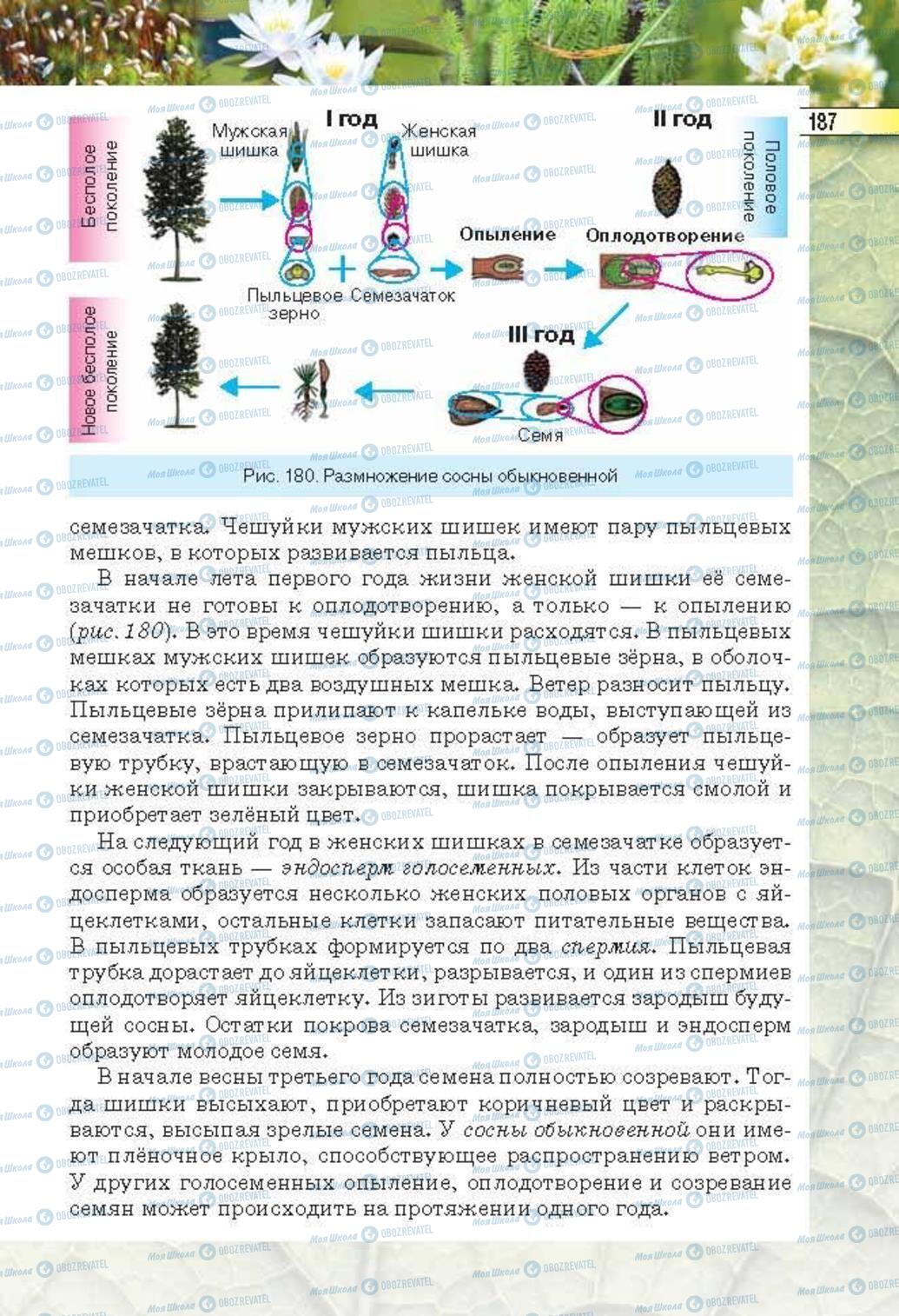 Підручники Біологія 6 клас сторінка 187