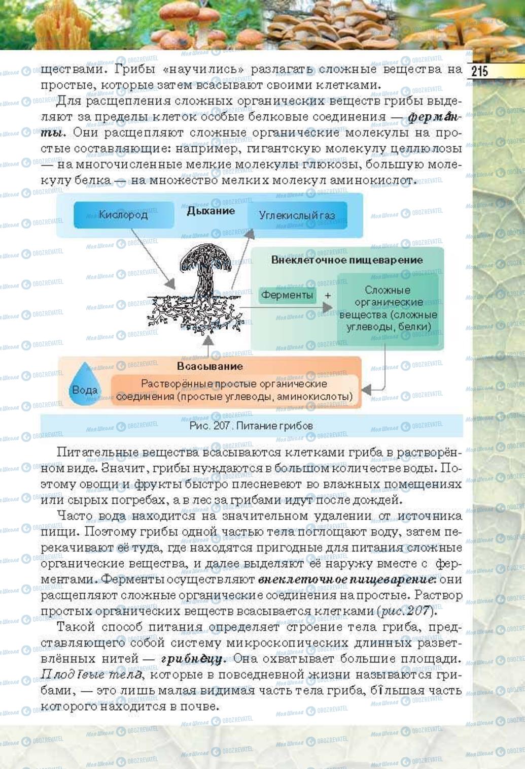 Учебники Биология 6 класс страница 215