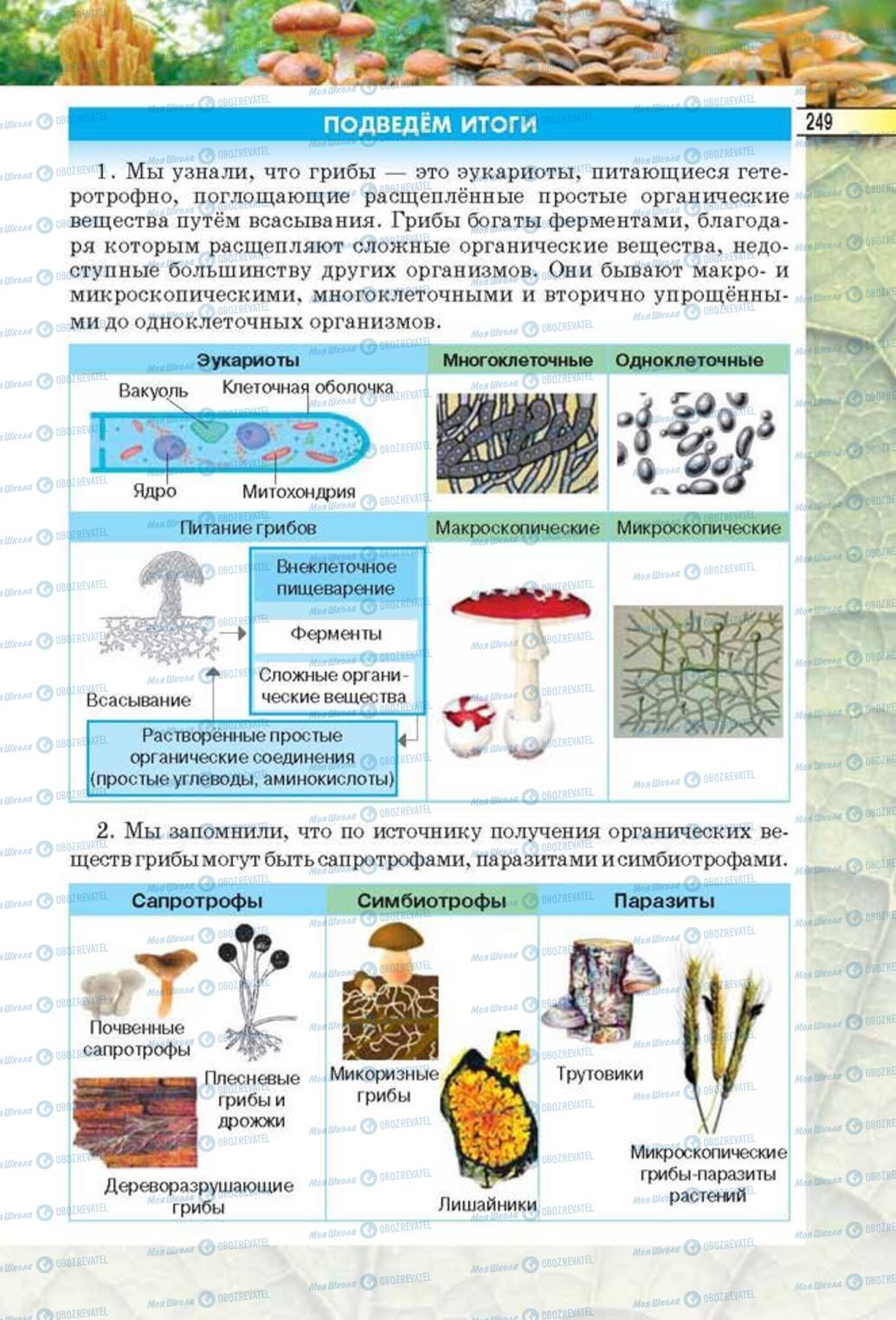 Учебники Биология 6 класс страница 249