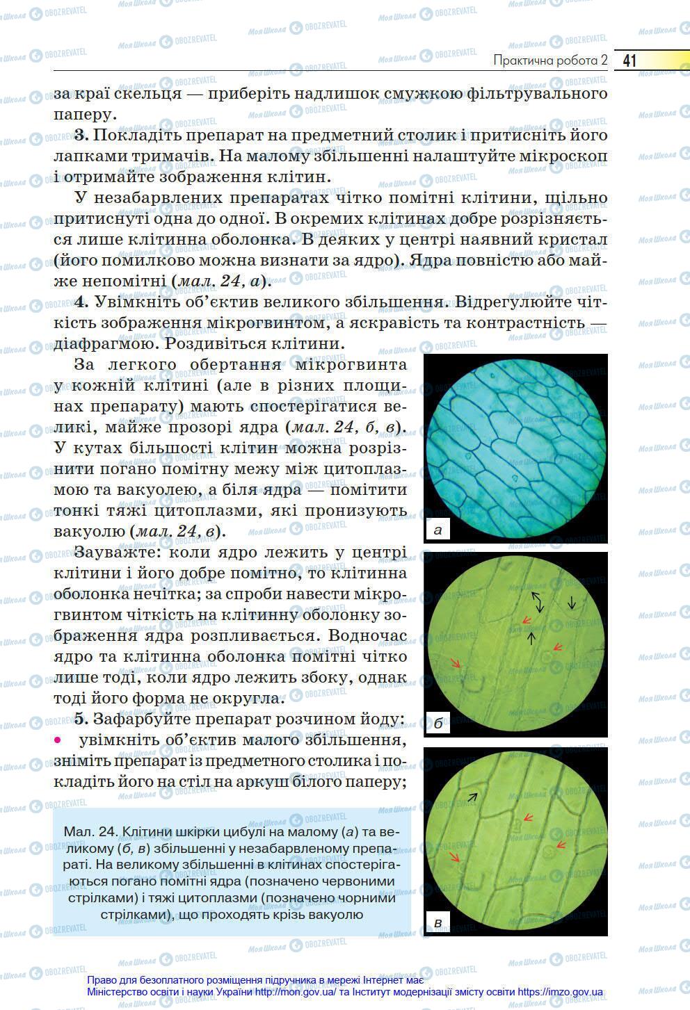 Підручники Біологія 6 клас сторінка 41