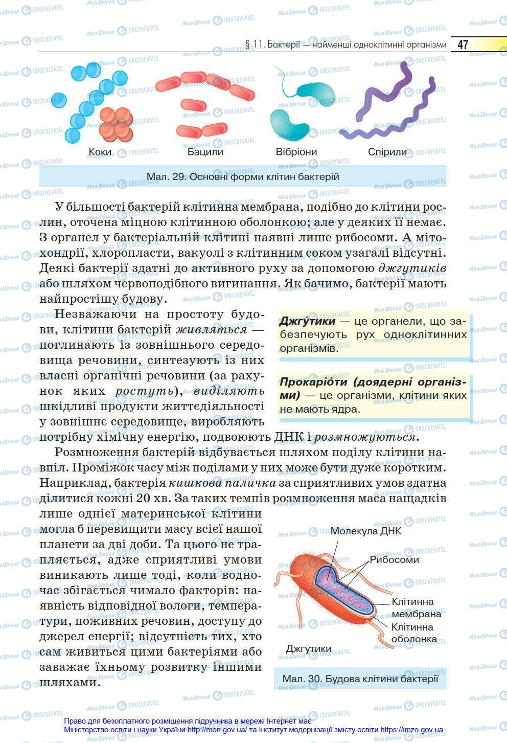 Підручники Біологія 6 клас сторінка 47