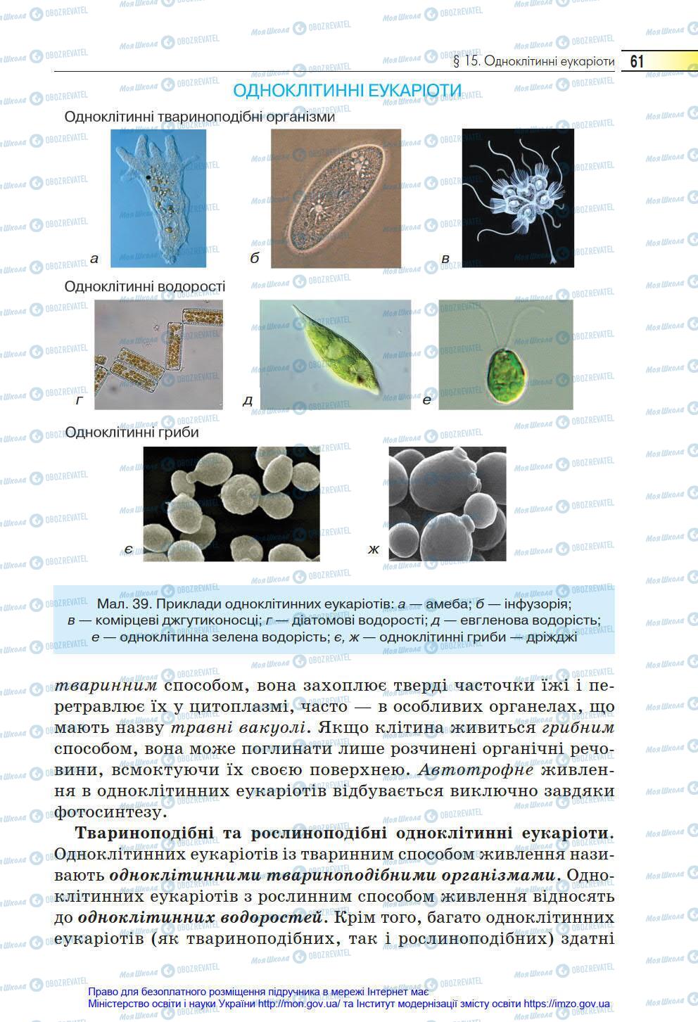 Підручники Біологія 6 клас сторінка 61